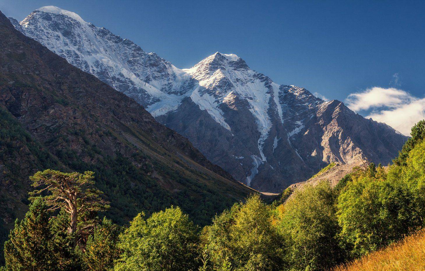 , Игорь Мелекесцев