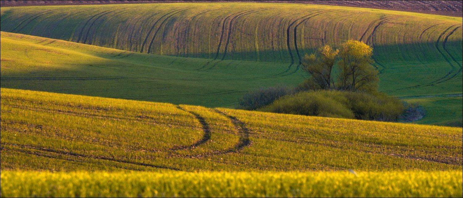 , Сергей Добровольский