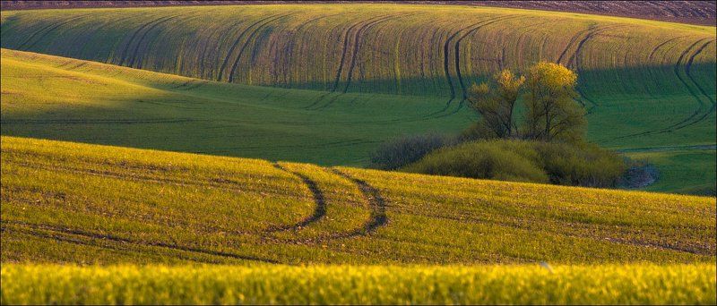 Линии Апреля... фото превью