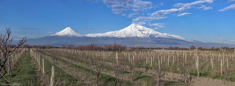 Ararat фото превью