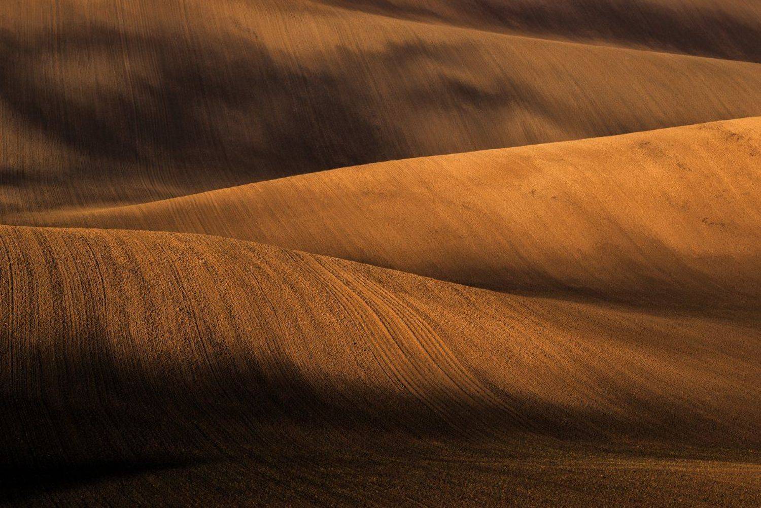 south moravia, czech republic, fields, morning, spring, Tomas Morkes