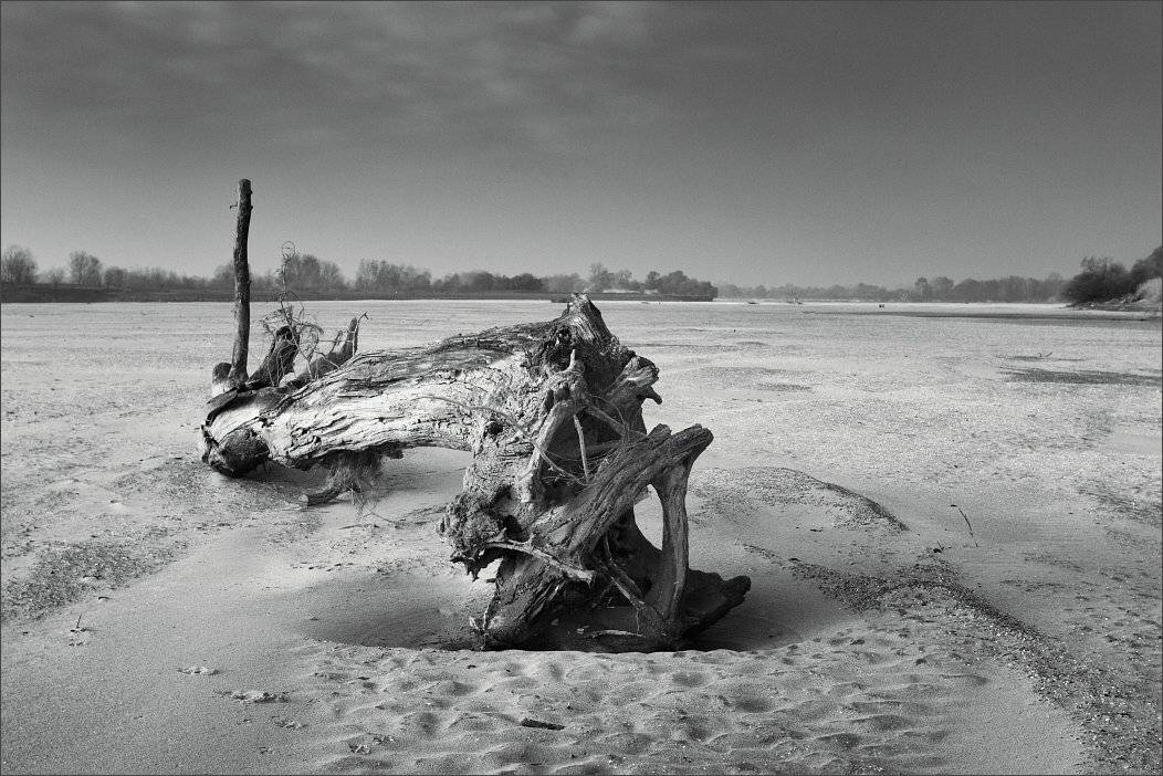 , Сергей Фудиненко