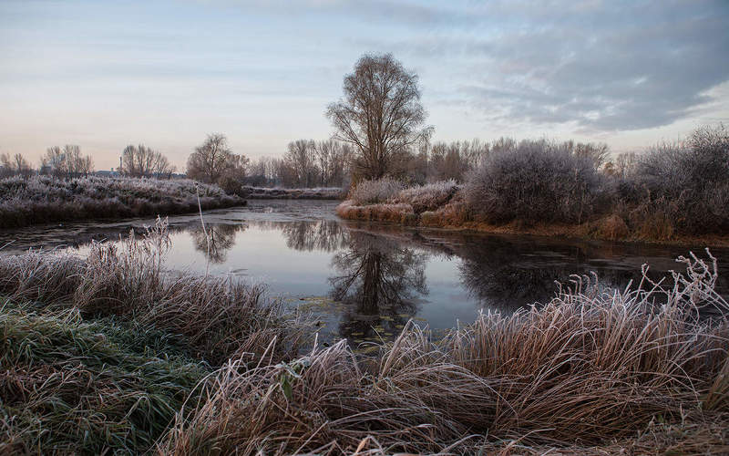 Утренние заморозки. фото превью