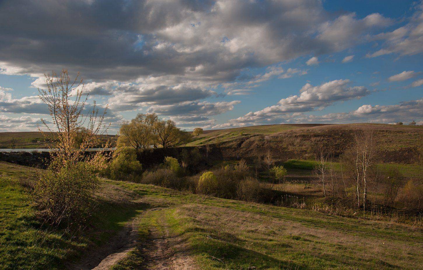 , Володимир Карчевський