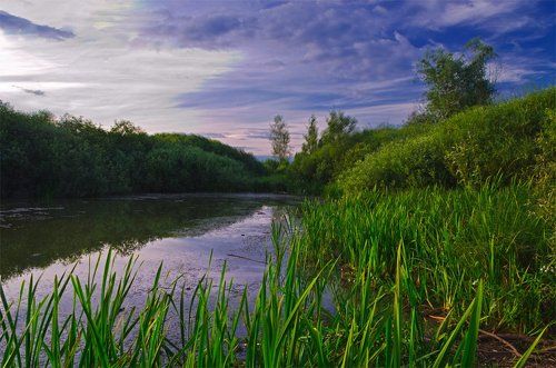 Вечер в тихой заводи