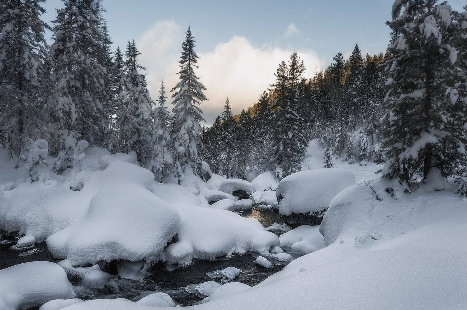 зима снег сугробы, Константин Пинигин