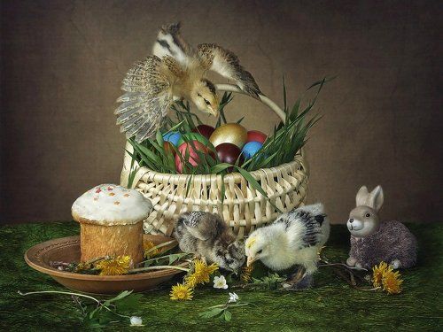 Пасхальные приключения цыплят