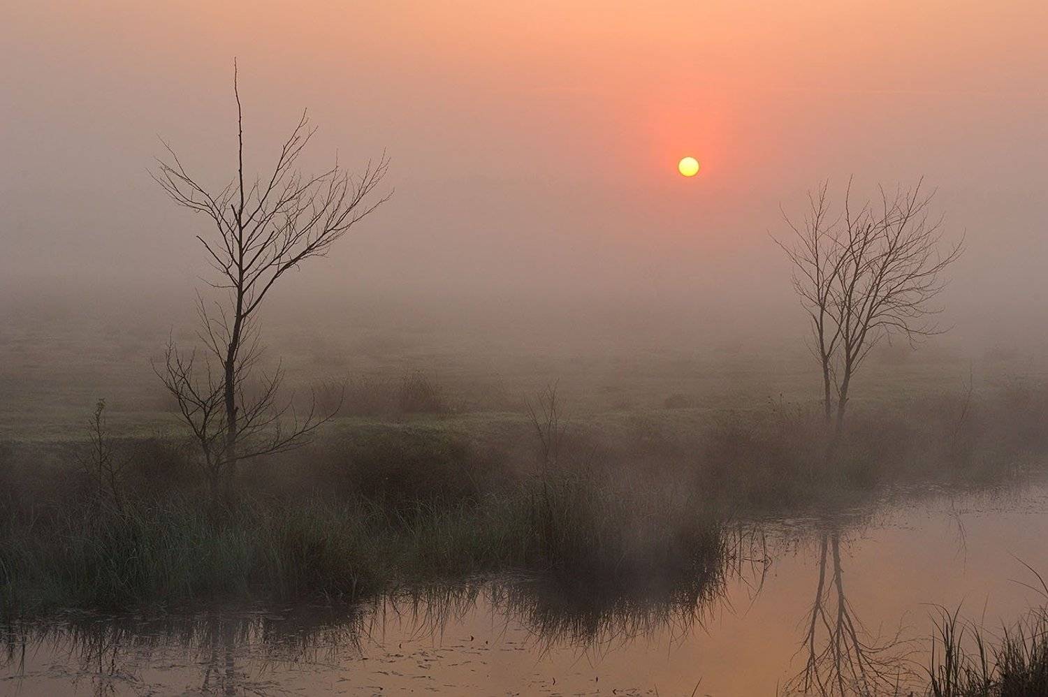 , Kantsyrenko Sergey