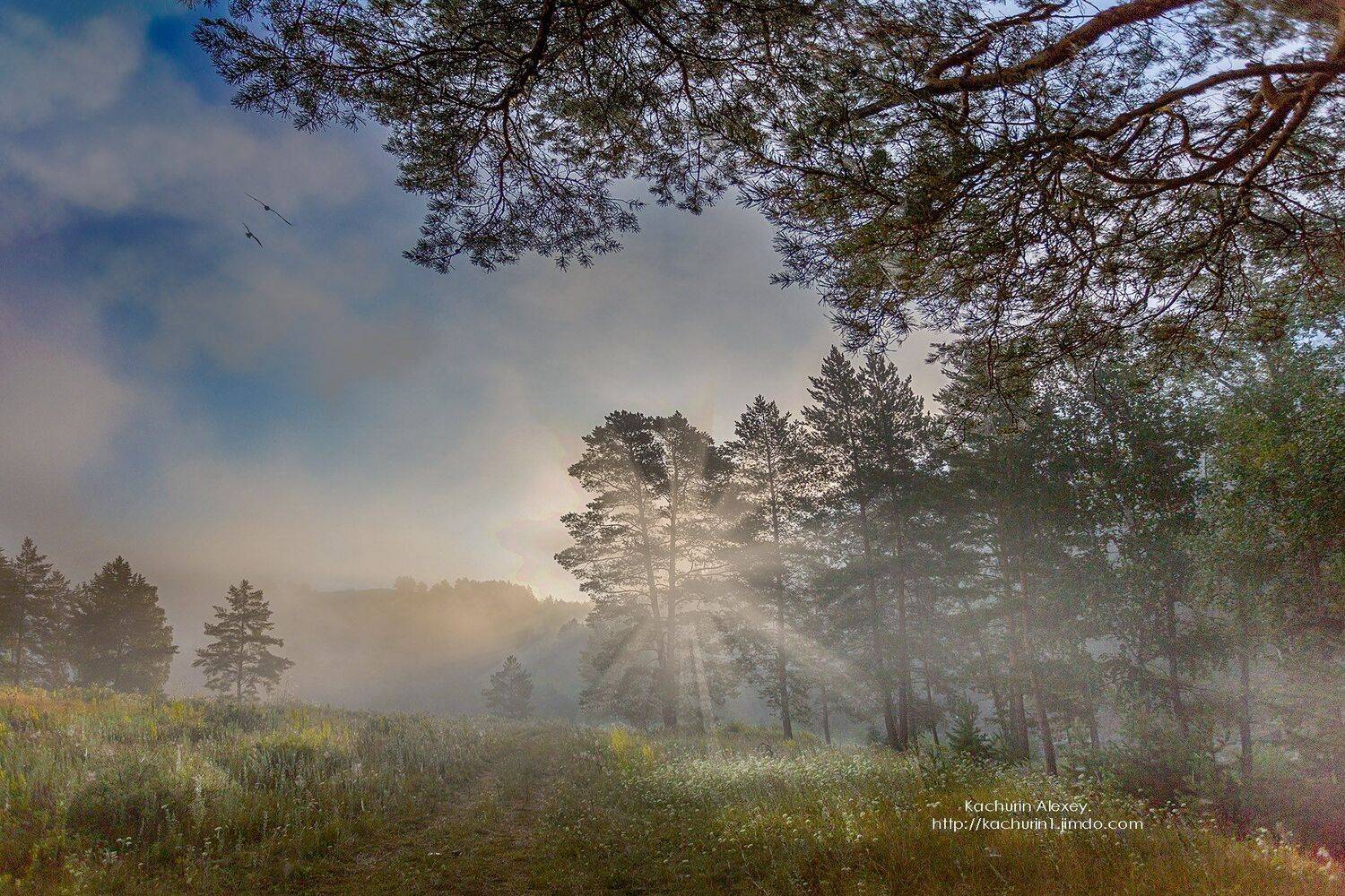 орск оренбургская обл. качурин новотроицк южный урал, Качурин Алексей