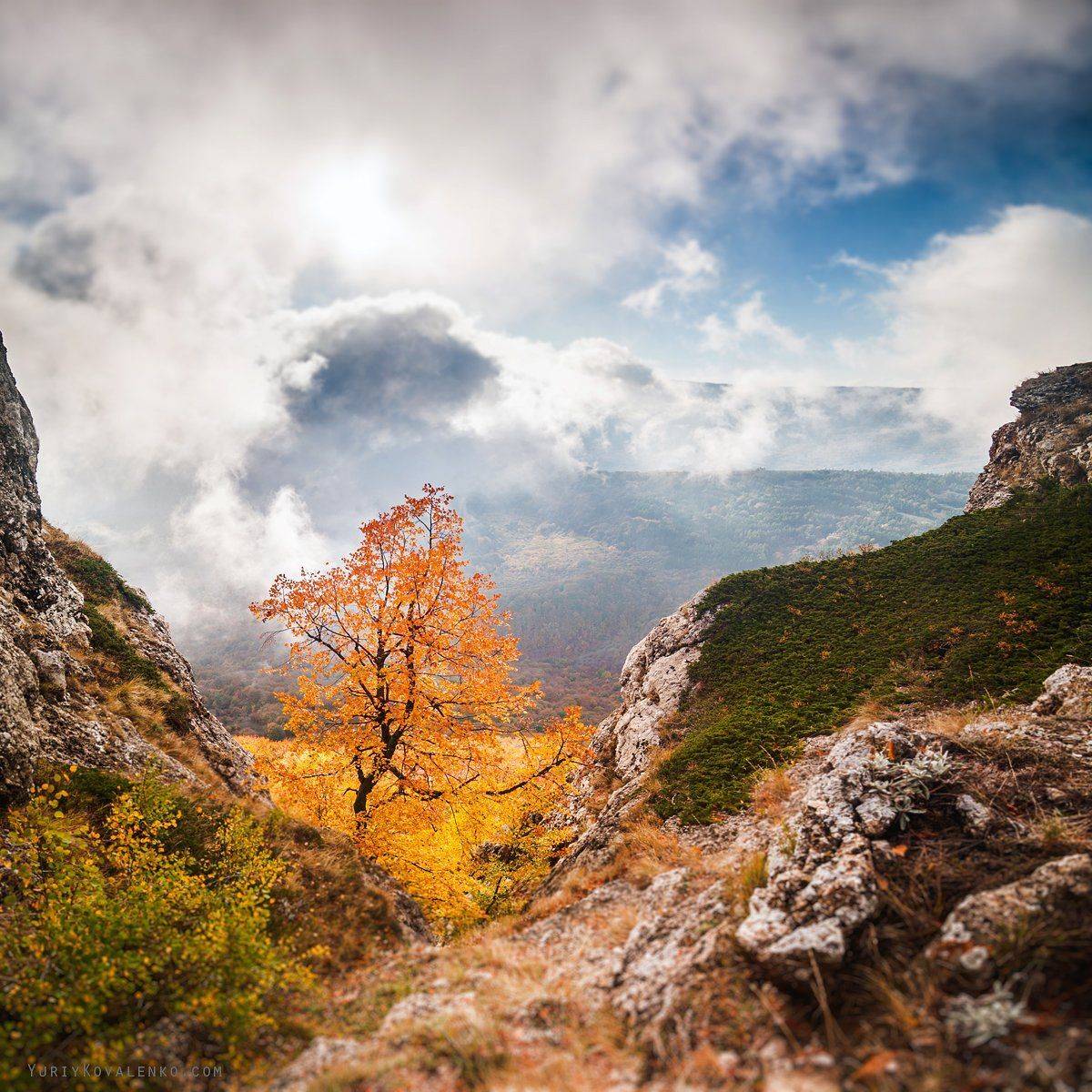 , Юрий Коваленко