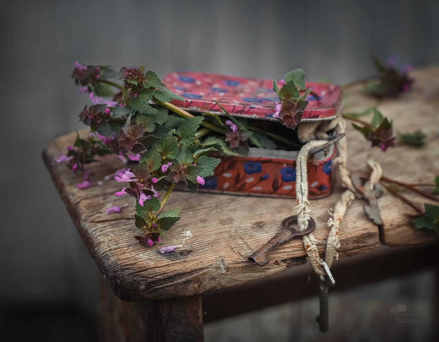 , Инна Сухова