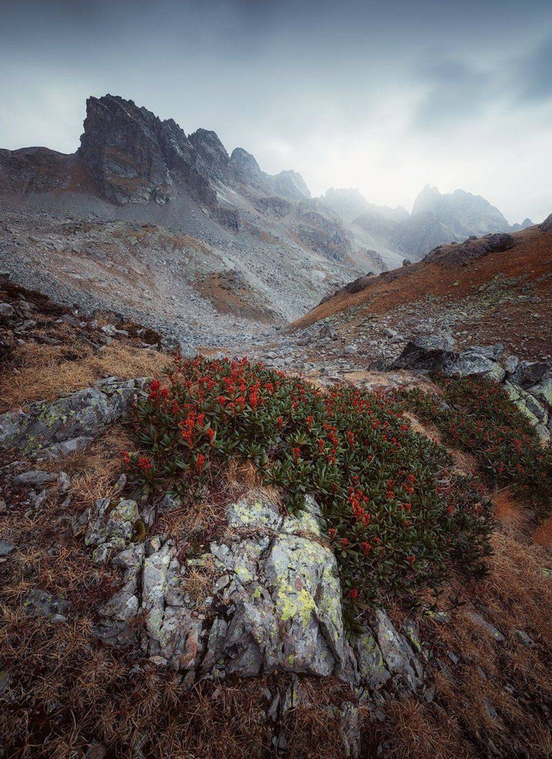 , Минаев Павел