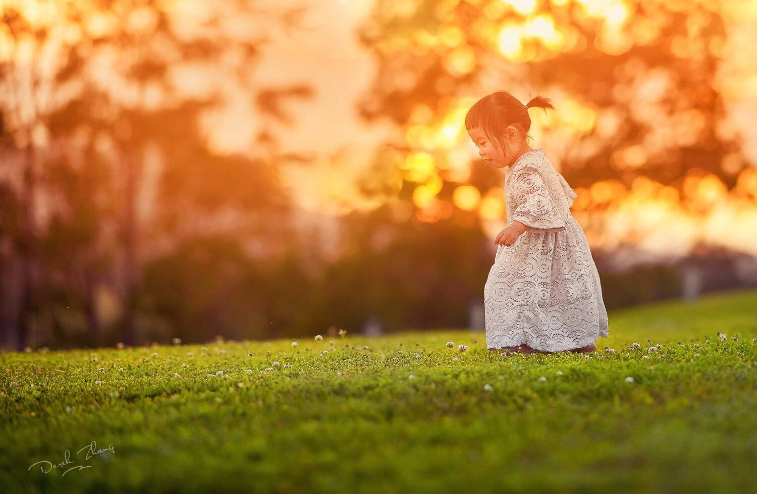 child, kid, sunset, warm, natural light, childhood, girl, flowers, field, vineyard, wild, Derek Zhang