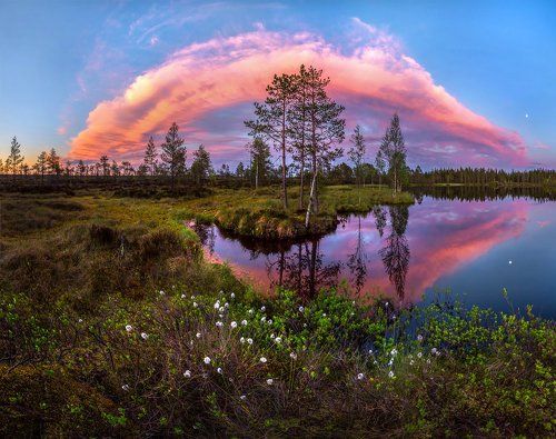 Роскошь белых ночей.