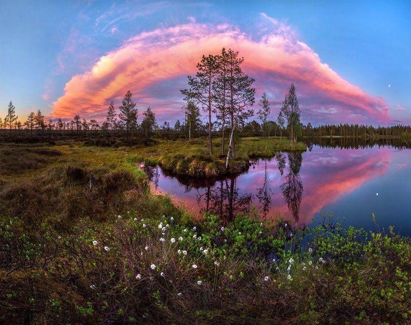 Роскошь белых ночей. фото превью