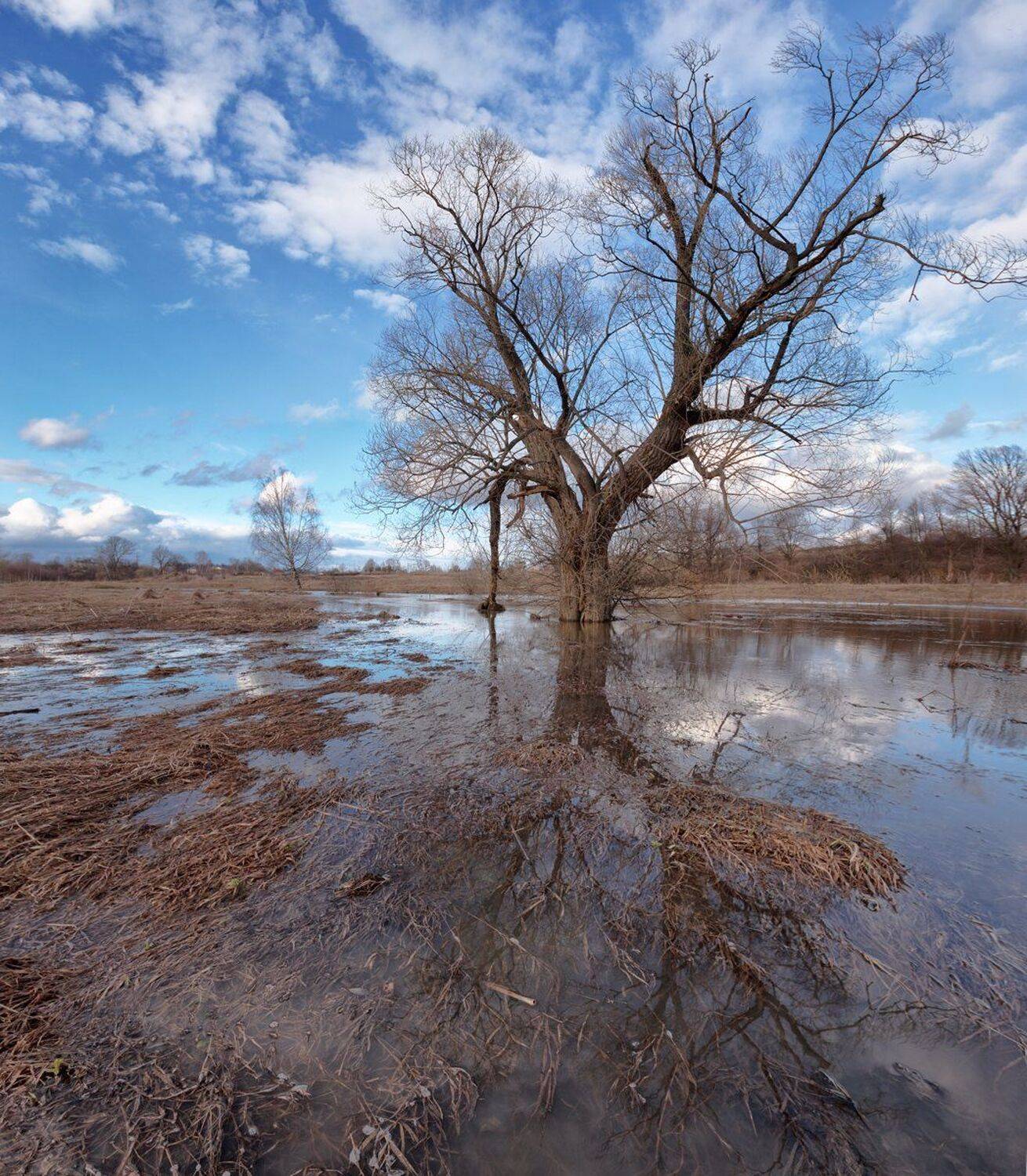, Николай Андреев