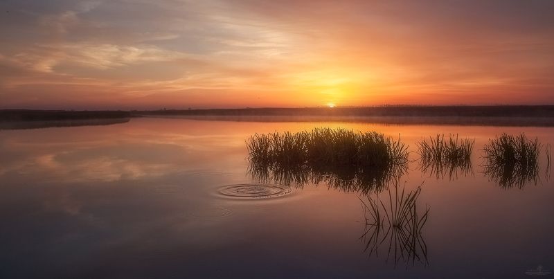 рассвет, озеро, волгоград Не дышать фото превью