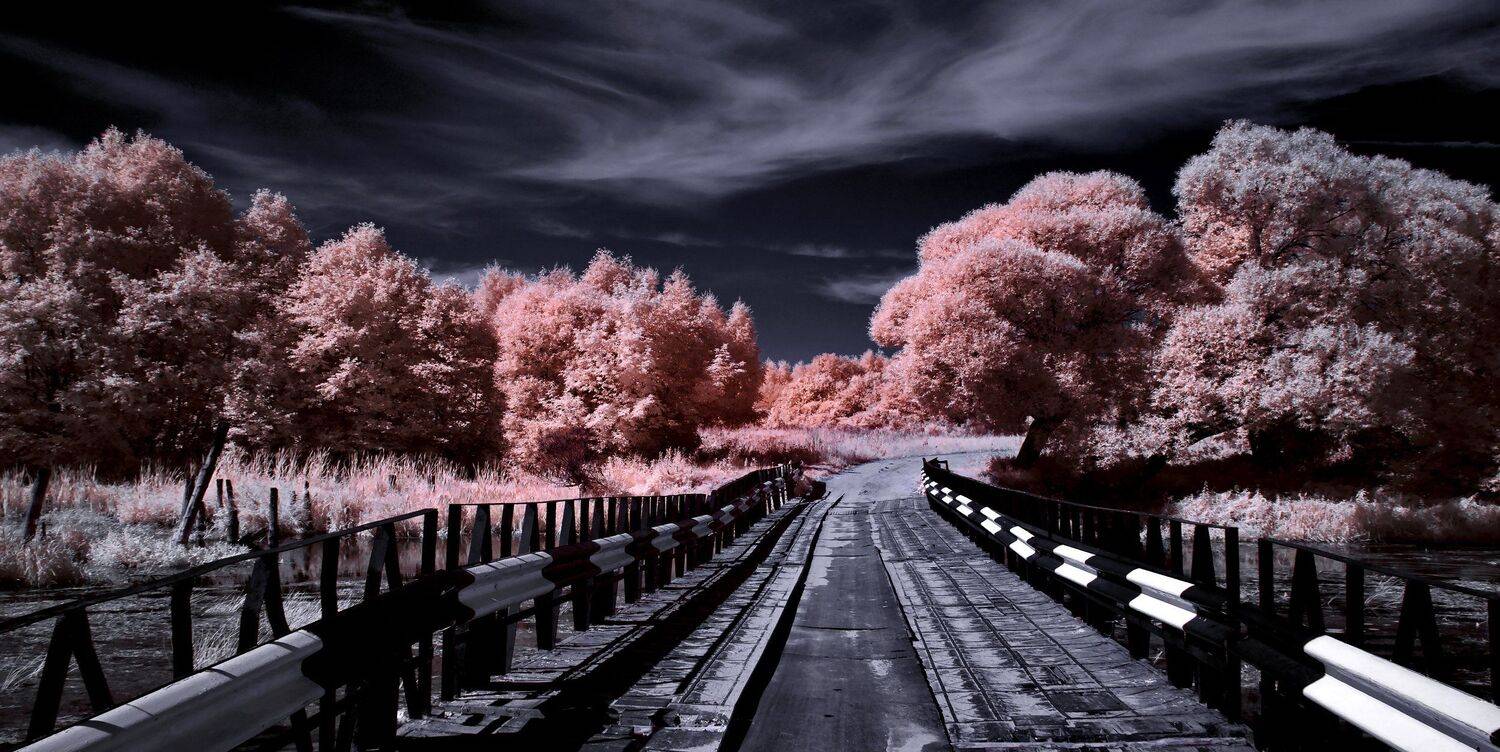 infrared,ик-фото,инфракрасное фото,инфракрасная фотография,пейзаж,природа,беларусь,лето, Sixten ( Сергей )