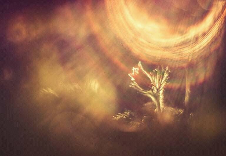 , Татьяна Аверина