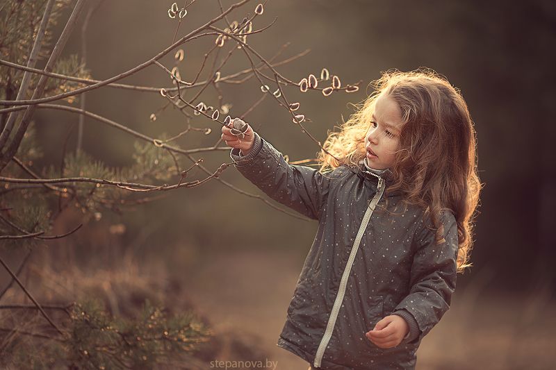 девочка, закат, длинные волосы, котики С котиками! фото превью