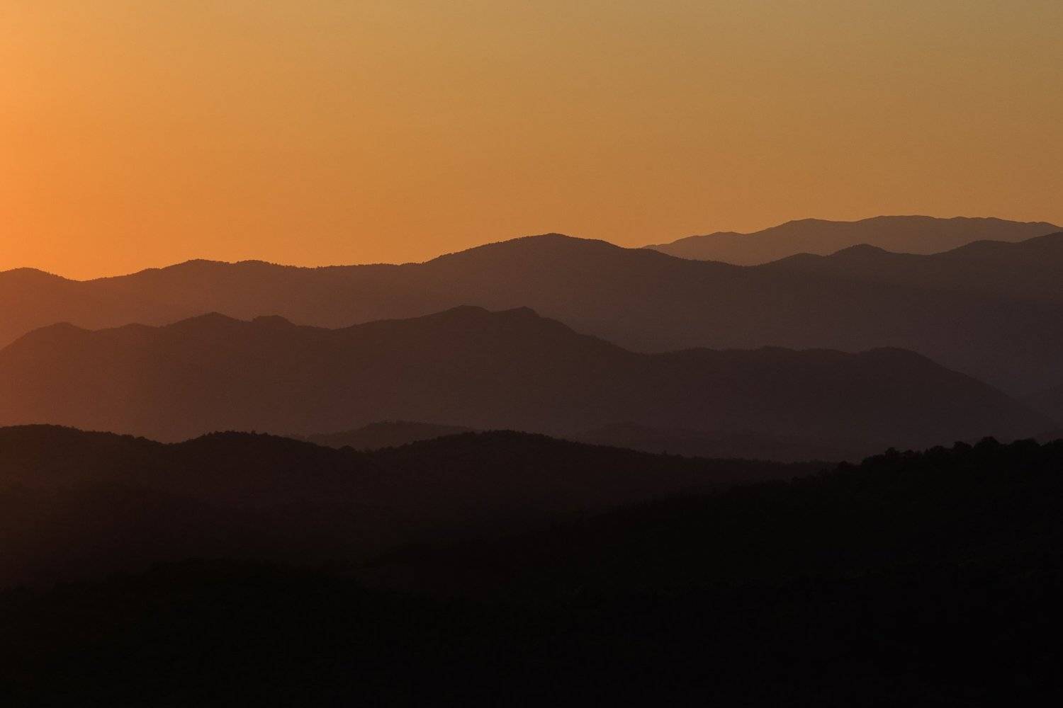 , Mindia Charkseliani