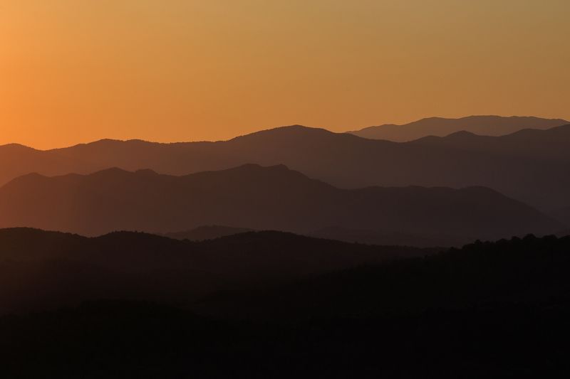 Гармония фото превью