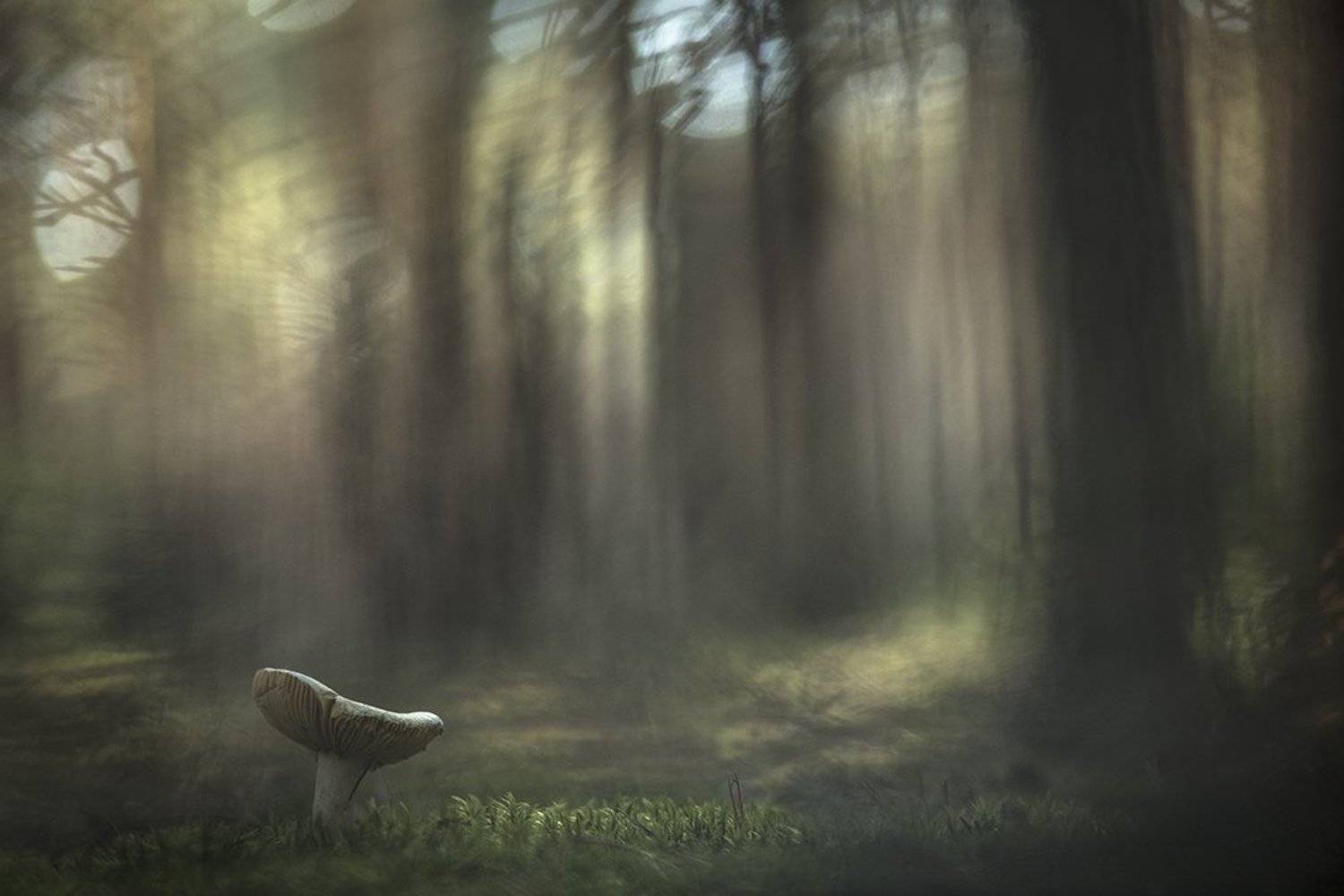 , Геннадий Мещеряков