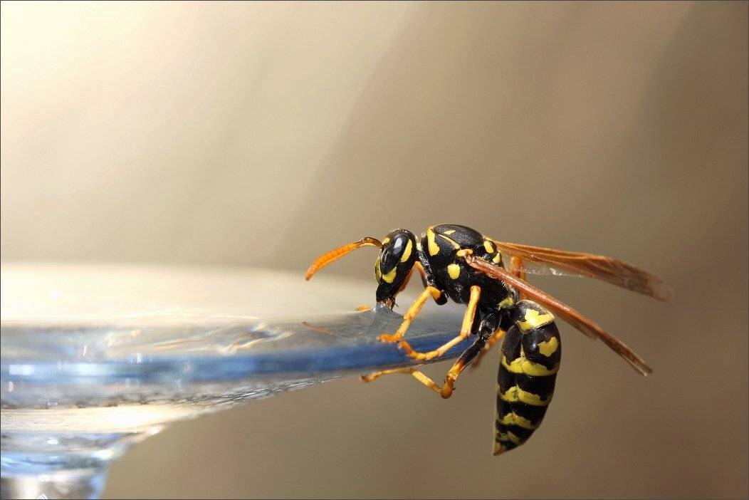 , Сергей Фудиненко