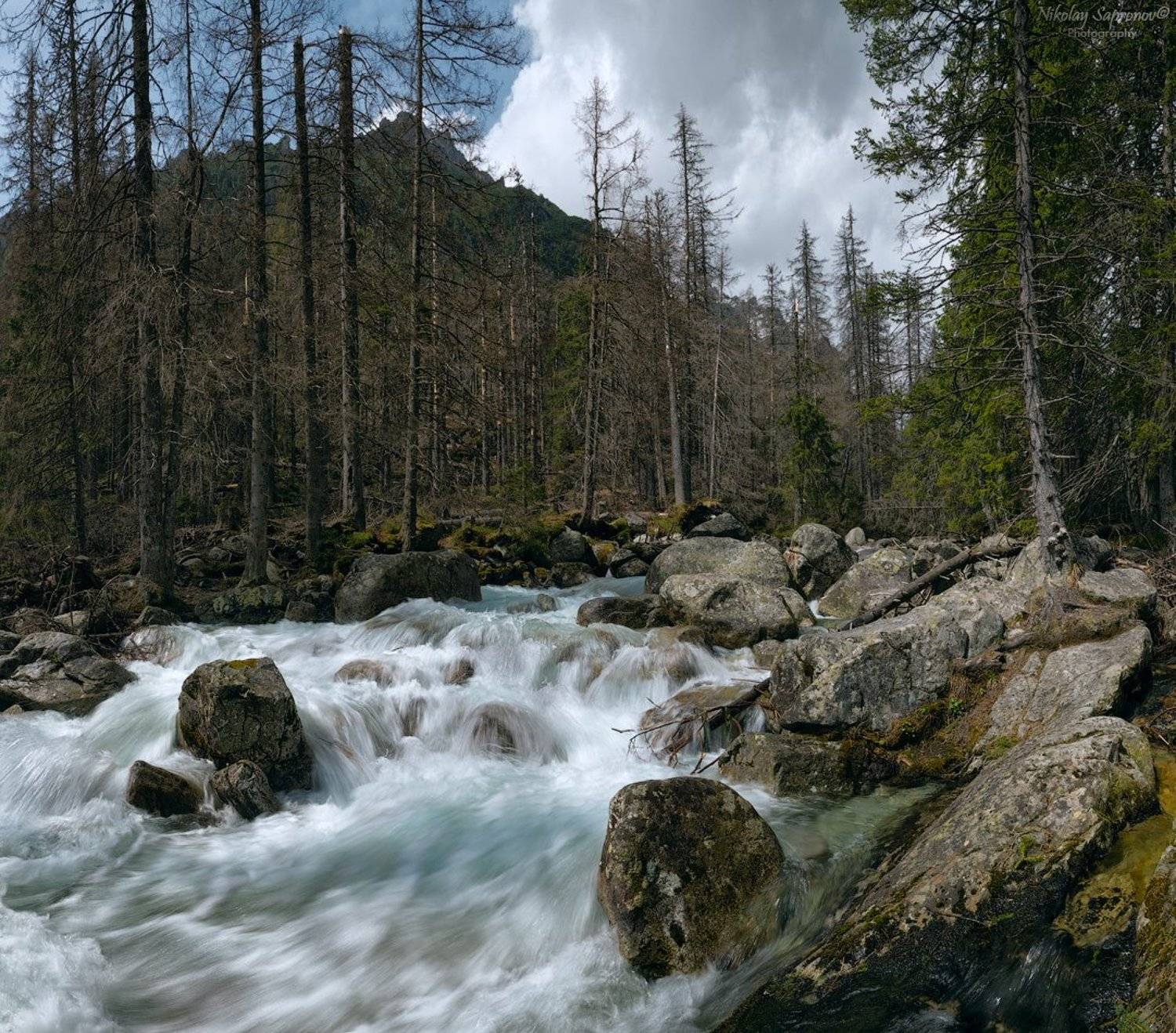 высокие татры, студеный поток, горная река, татры, карпаты, словакия, польша, горы, slovakia, tatry, high tatras, studeny potok, Николай Сапронов