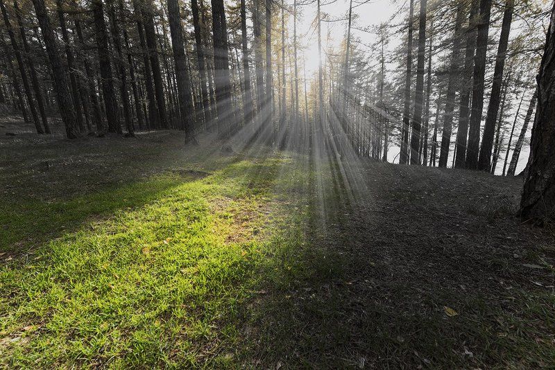 луч фото превью