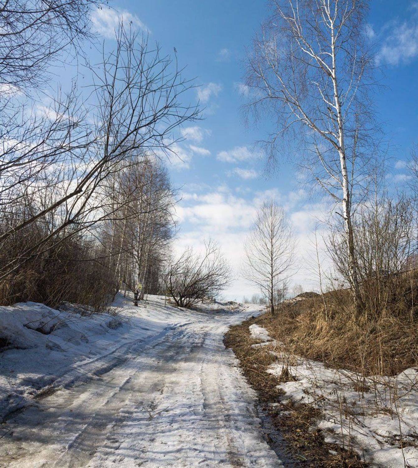 , Курочкина Диана
