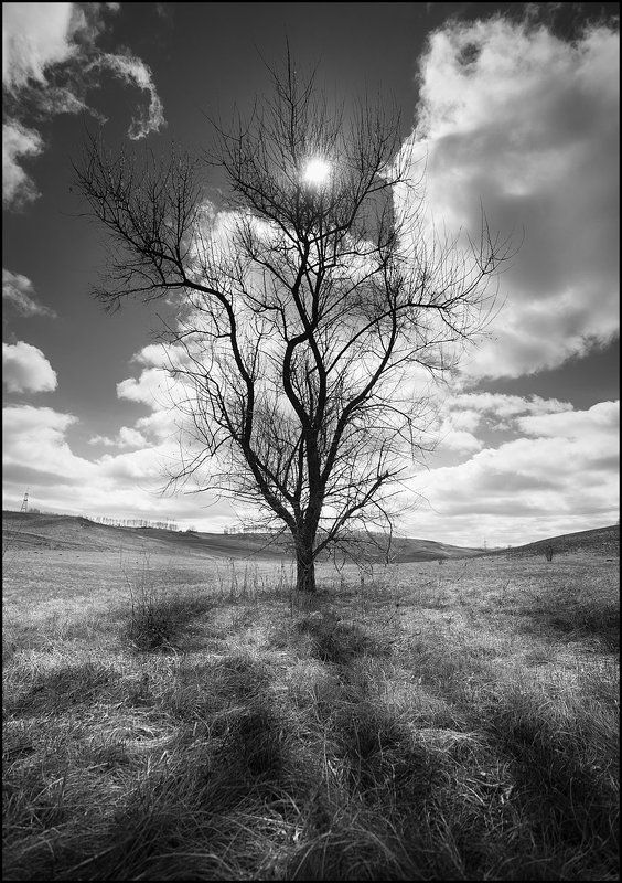 * фото превью