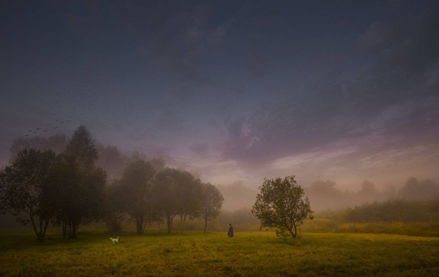 никон,туман,пейзаж, Морозов Юрий