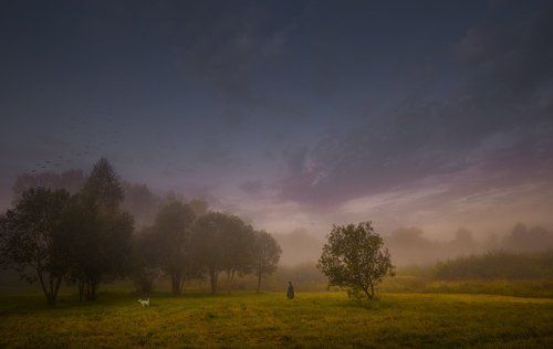 / Прогулка в туманное утро... /  