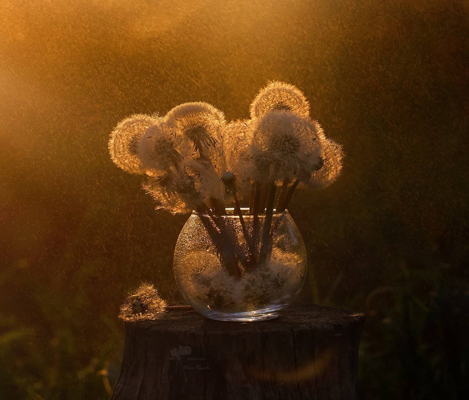 , Инна Сухова