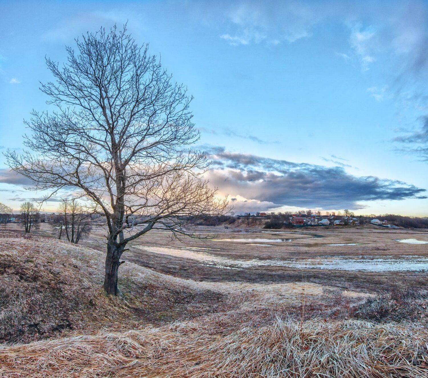 , Николай Андреев