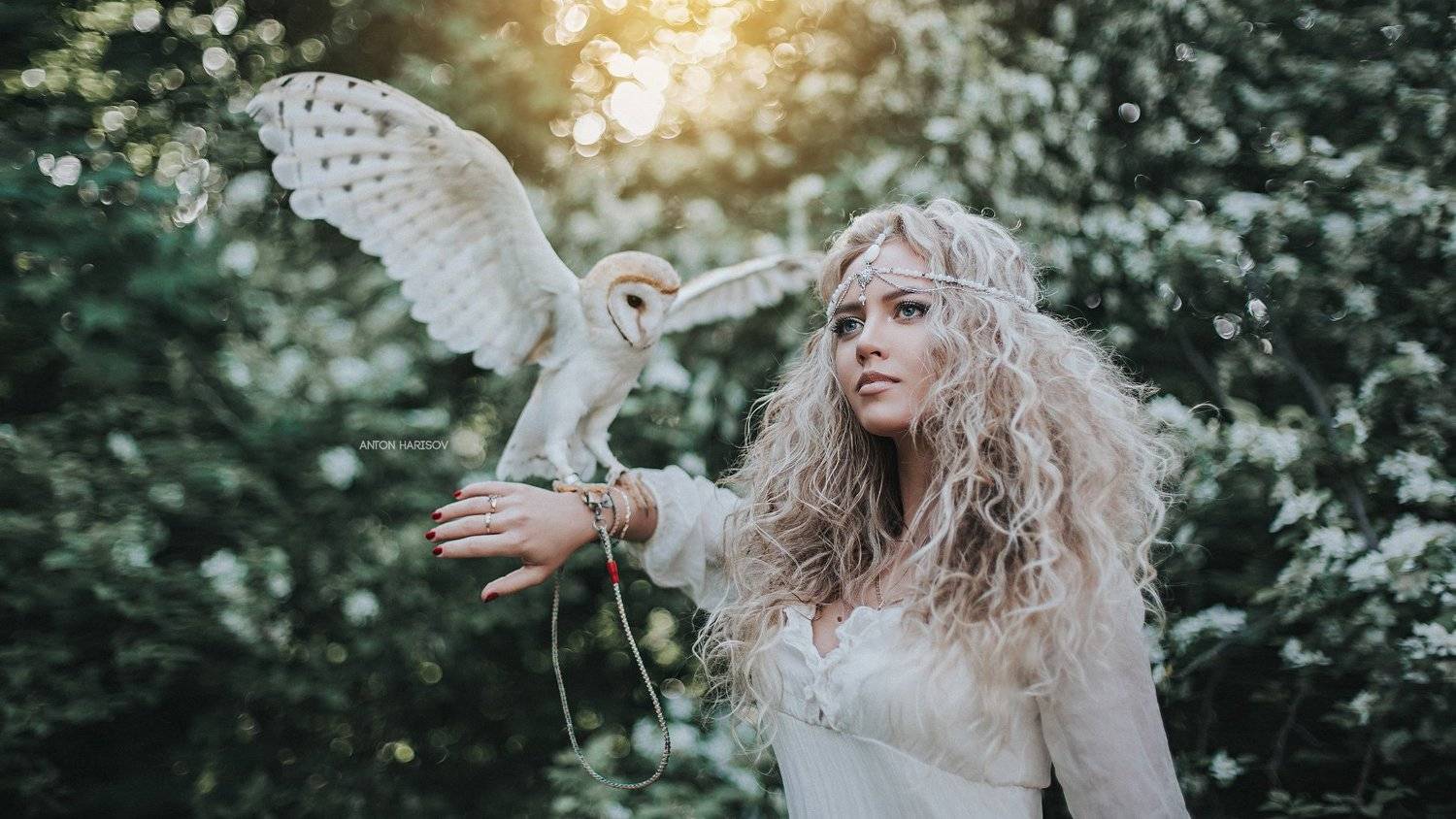 girl, portrait, beauty, owl, Антон Харисов