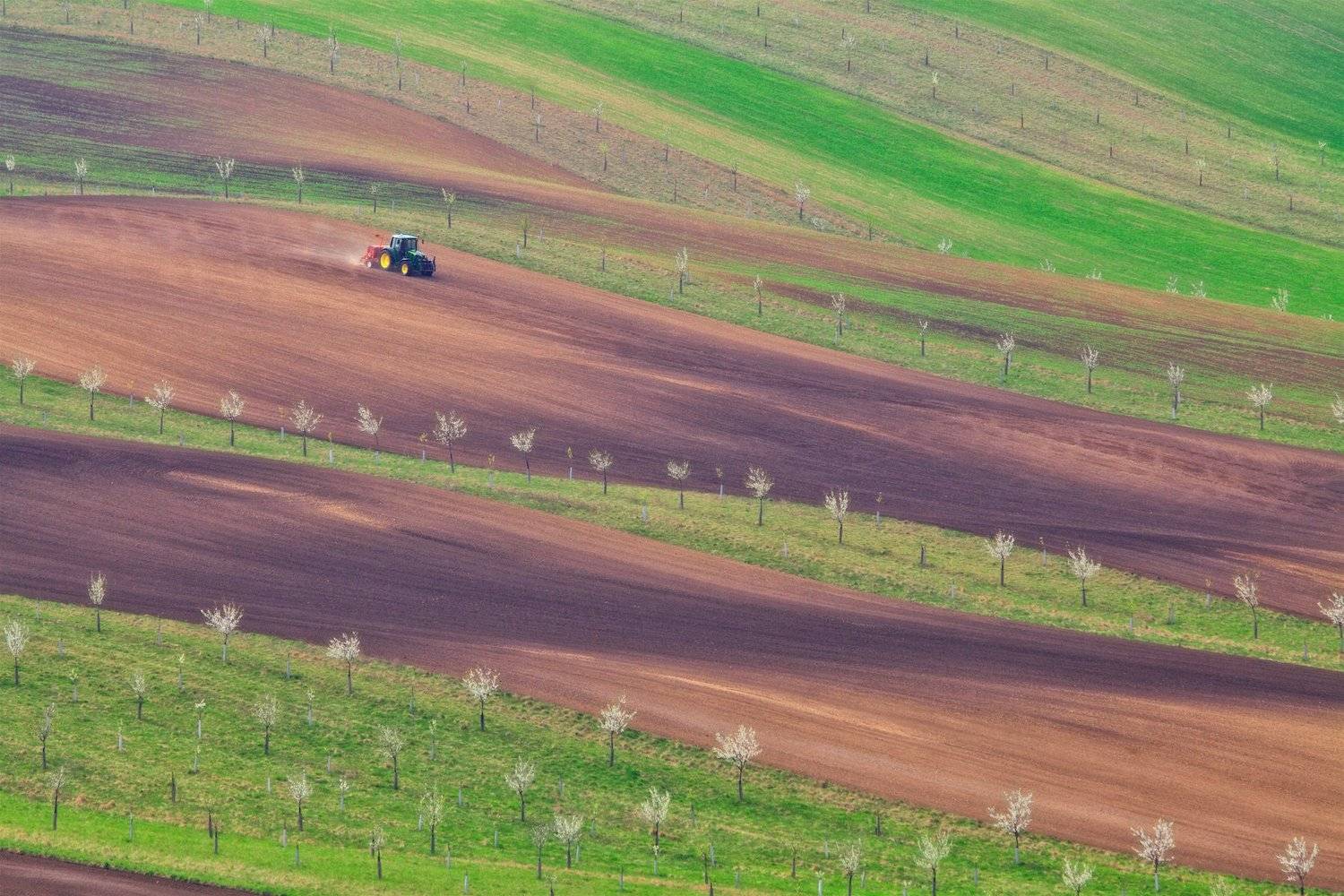 moravia, spring, april, Маргарита Чернилова