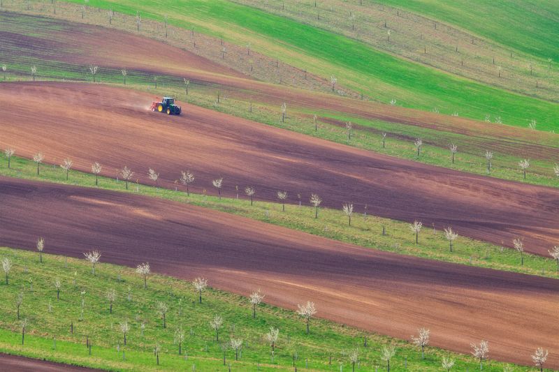 moravia, spring, april геометрия апреля фото превью