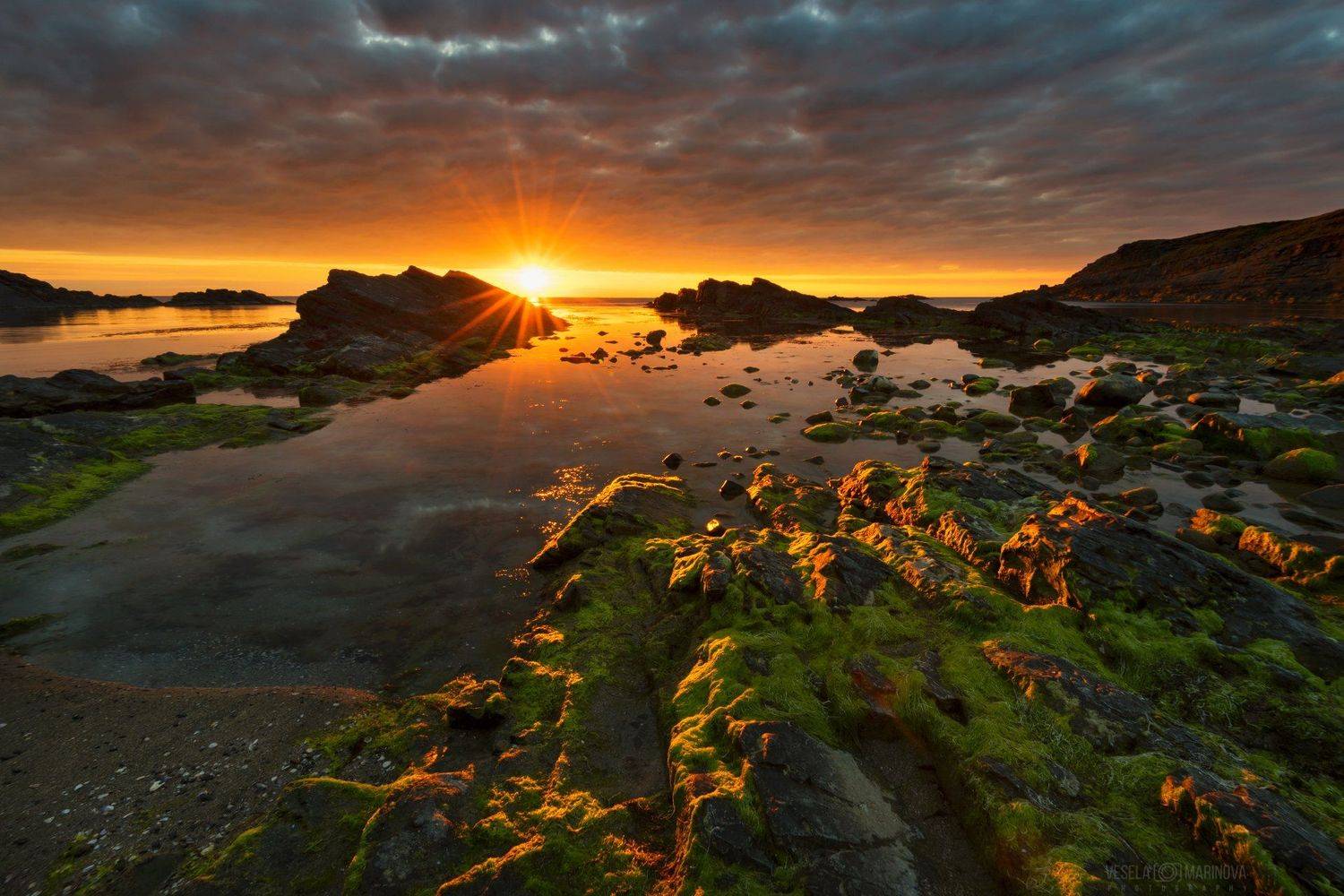 , Весела Маринова