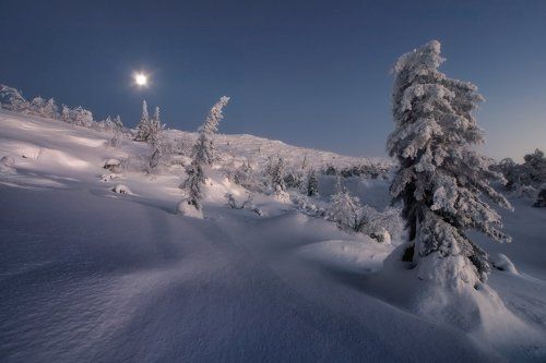 На сопках Кандалакши