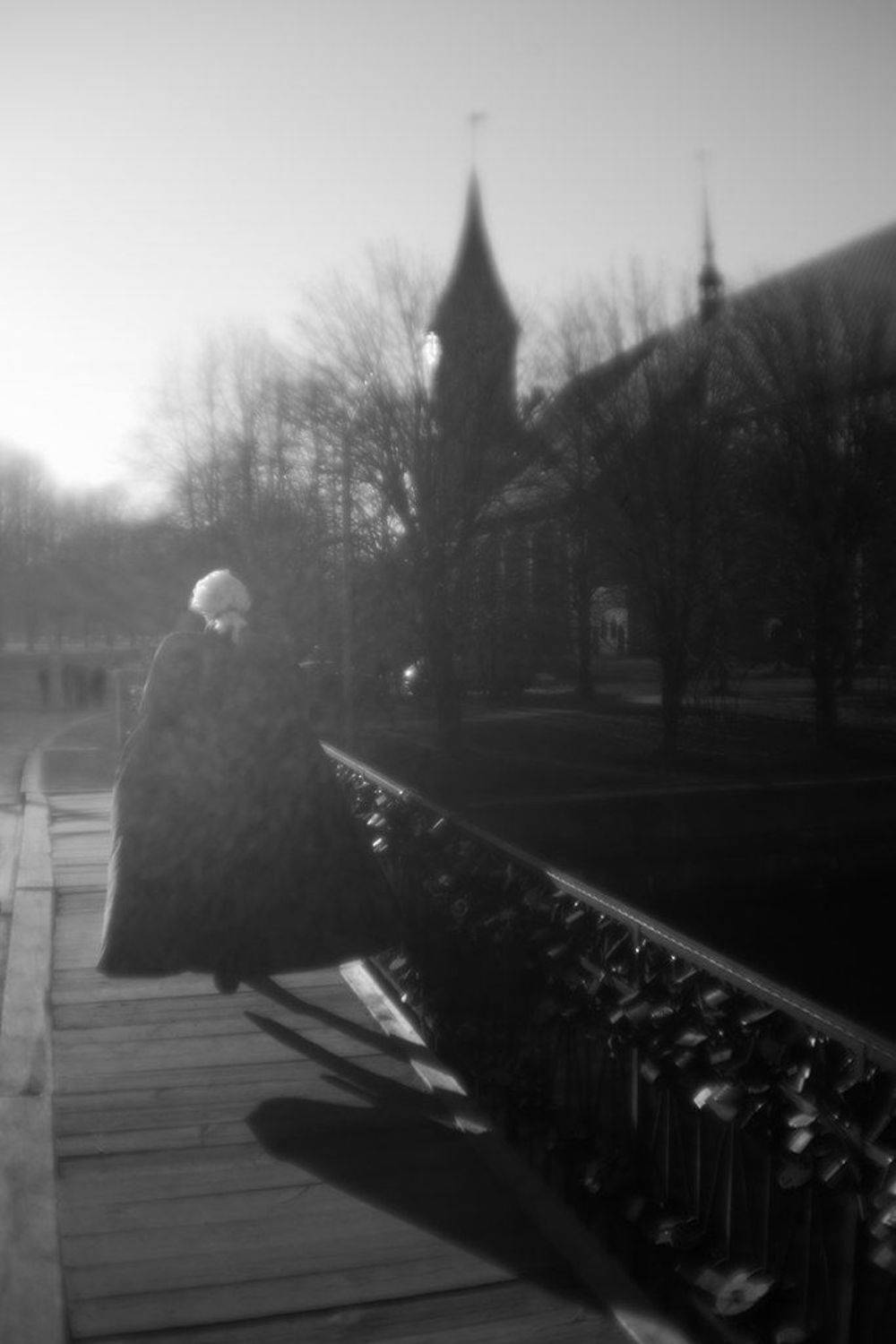 калининград, остров канта, Алексей Шамашов