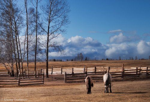 Апрельская пастораль