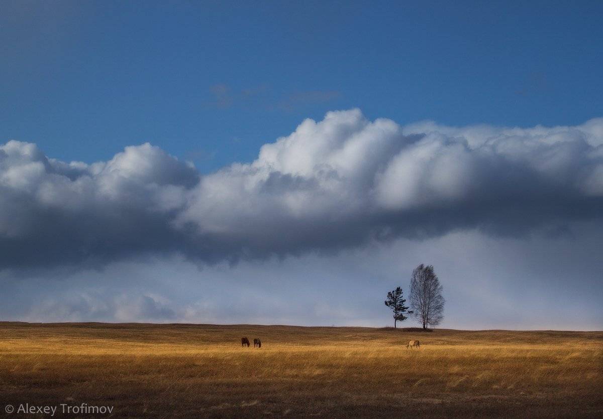 апрель, весна, пейзаж, Алексей Трофимов