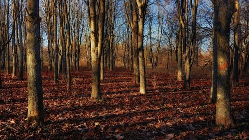 Осень. Прощальное тепло...