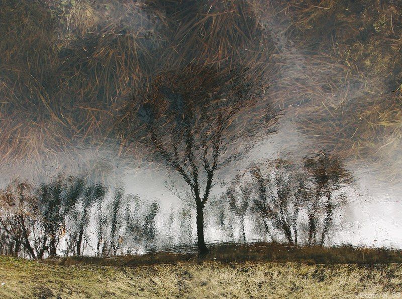 Отражение фото превью