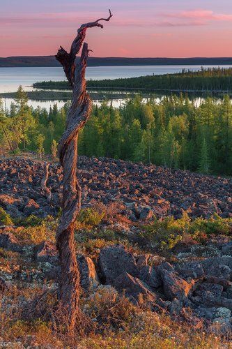Спираль веков
