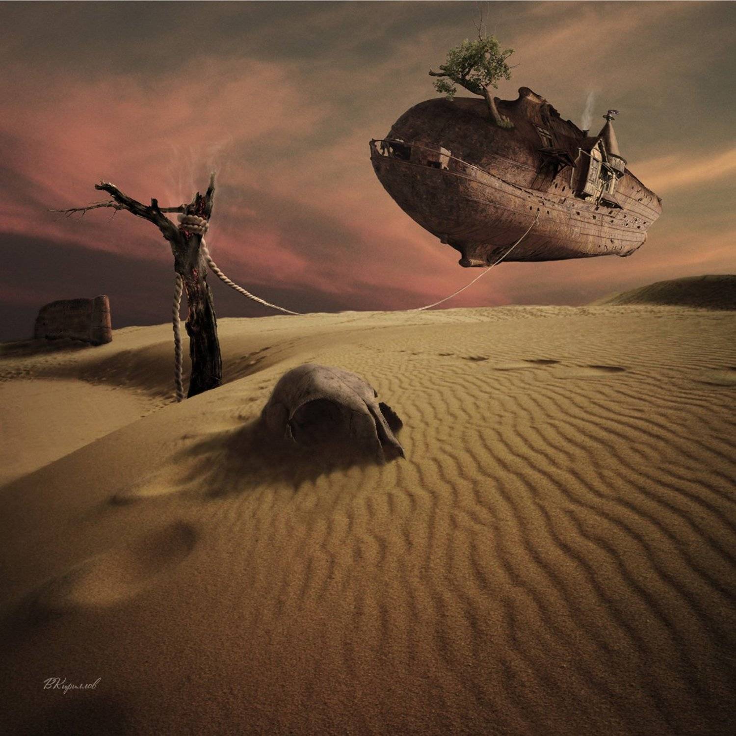 , Виктор Кириллов