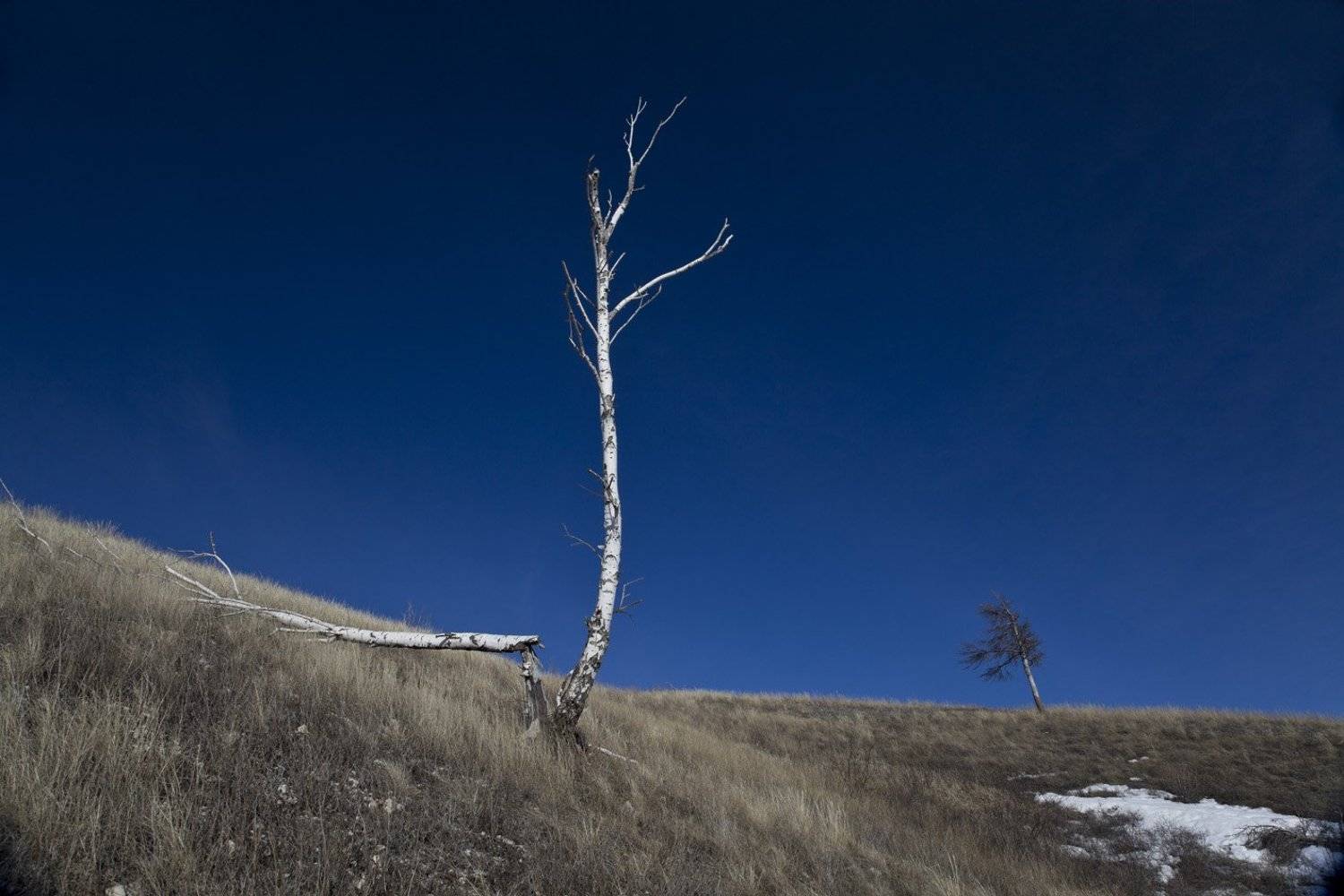 , Виктор Кириллов