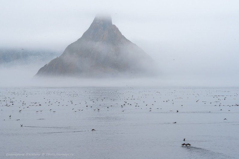 Призрачный остров фото превью